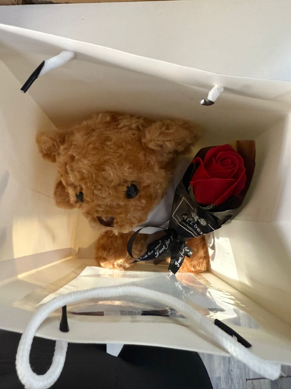 Oso de Peluche con Rosa en Bolsa de Regalo – Detalle Tierno y Romántico